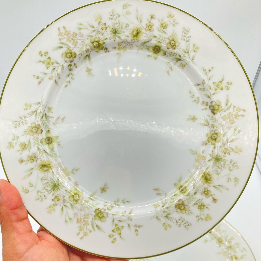 2 Set Salad Plates Field flowers by SANGO 3810